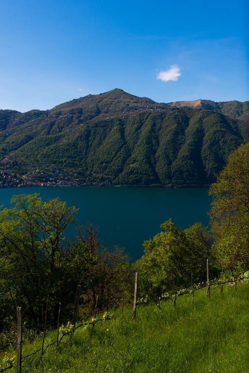 Tra Lago E Montagna Baita La Morena Nesso Exterior foto