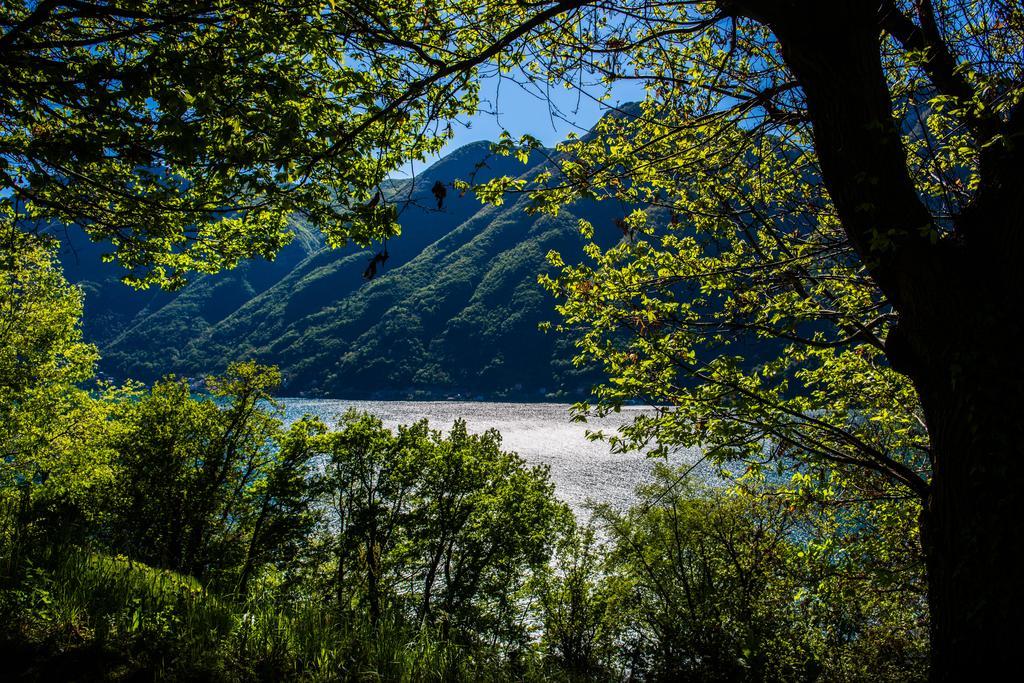 Tra Lago E Montagna Baita La Morena Nesso Exterior foto